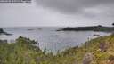 ./images/calvert/foggy-cove/20260625/foggy-cove20260625_115501M.jpg