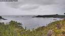 ./images/calvert/foggy-cove/20260625/foggy-cove20260625_120501M.jpg