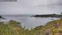 ./images/calvert/foggy-cove/20260625/foggy-cove20260625_123501M.jpg