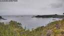./images/calvert/foggy-cove/20260625/foggy-cove20260625_124002M.jpg