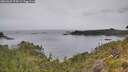 ./images/calvert/foggy-cove/20260625/foggy-cove20260625_124501M.jpg