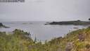 ./images/calvert/foggy-cove/20260625/foggy-cove20260625_125501M.jpg