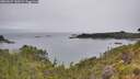 ./images/calvert/foggy-cove/20260625/foggy-cove20260625_130501M.jpg
