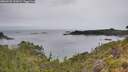 ./images/calvert/foggy-cove/20260625/foggy-cove20260625_131001M.jpg