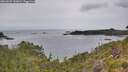 ./images/calvert/foggy-cove/20260625/foggy-cove20260625_132001M.jpg