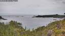 ./images/calvert/foggy-cove/20260625/foggy-cove20260625_132501M.jpg