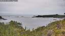 ./images/calvert/foggy-cove/20260625/foggy-cove20260625_133001M.jpg
