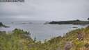 ./images/calvert/foggy-cove/20260625/foggy-cove20260625_134502M.jpg