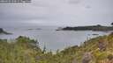 ./images/calvert/foggy-cove/20260625/foggy-cove20260625_135001M.jpg