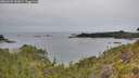 ./images/calvert/foggy-cove/20260625/foggy-cove20260625_141001M.jpg