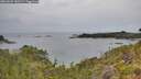 ./images/calvert/foggy-cove/20260625/foggy-cove20260625_141501M.jpg