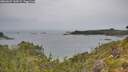./images/calvert/foggy-cove/20260625/foggy-cove20260625_142001M.jpg