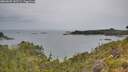 ./images/calvert/foggy-cove/20260625/foggy-cove20260625_142501M.jpg