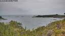 ./images/calvert/foggy-cove/20260625/foggy-cove20260625_143501M.jpg
