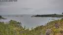 ./images/calvert/foggy-cove/20260625/foggy-cove20260625_145001M.jpg