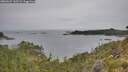 ./images/calvert/foggy-cove/20260625/foggy-cove20260625_145502M.jpg
