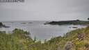 ./images/calvert/foggy-cove/20260625/foggy-cove20260625_152001M.jpg