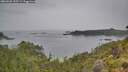 ./images/calvert/foggy-cove/20260625/foggy-cove20260625_155501M.jpg