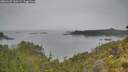 ./images/calvert/foggy-cove/20260625/foggy-cove20260625_160501M.jpg
