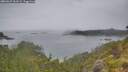 ./images/calvert/foggy-cove/20260625/foggy-cove20260625_161501M.jpg