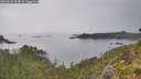 ./images/calvert/foggy-cove/20260625/foggy-cove20260625_164001M.jpg