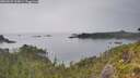 ./images/calvert/foggy-cove/20260625/foggy-cove20260625_165001M.jpg