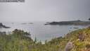 ./images/calvert/foggy-cove/20260625/foggy-cove20260625_165501M.jpg