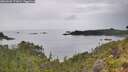 ./images/calvert/foggy-cove/20260625/foggy-cove20260625_171001M.jpg
