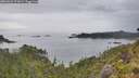 ./images/calvert/foggy-cove/20260625/foggy-cove20260625_172001M.jpg