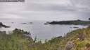 ./images/calvert/foggy-cove/20260625/foggy-cove20260625_172501M.jpg