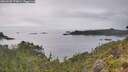 ./images/calvert/foggy-cove/20260625/foggy-cove20260625_173001M.jpg