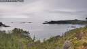 ./images/calvert/foggy-cove/20260625/foggy-cove20260625_173502M.jpg