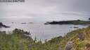 ./images/calvert/foggy-cove/20260625/foggy-cove20260625_174001M.jpg