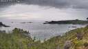 ./images/calvert/foggy-cove/20260625/foggy-cove20260625_175502M.jpg