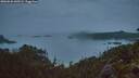 ./images/calvert/foggy-cove/20260626/foggy-cove20260626_045501M.jpg