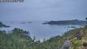 ./images/calvert/foggy-cove/20260626/foggy-cove20260626_053001M.jpg