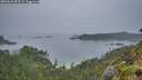 ./images/calvert/foggy-cove/20260626/foggy-cove20260626_053501M.jpg
