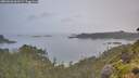 ./images/calvert/foggy-cove/20260626/foggy-cove20260626_061502M.jpg