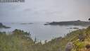 ./images/calvert/foggy-cove/20260626/foggy-cove20260626_062501M.jpg