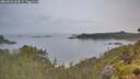 ./images/calvert/foggy-cove/20260626/foggy-cove20260626_063001M.jpg