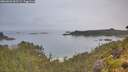 ./images/calvert/foggy-cove/20260626/foggy-cove20260626_063501M.jpg