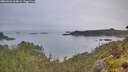 ./images/calvert/foggy-cove/20260626/foggy-cove20260626_064001M.jpg