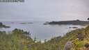./images/calvert/foggy-cove/20260626/foggy-cove20260626_064501M.jpg