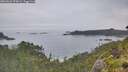 ./images/calvert/foggy-cove/20260626/foggy-cove20260626_070002M.jpg