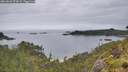 ./images/calvert/foggy-cove/20260626/foggy-cove20260626_074501M.jpg