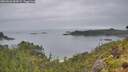 ./images/calvert/foggy-cove/20260626/foggy-cove20260626_082002M.jpg