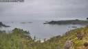 ./images/calvert/foggy-cove/20260626/foggy-cove20260626_082501M.jpg