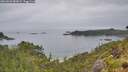 ./images/calvert/foggy-cove/20260626/foggy-cove20260626_083001M.jpg