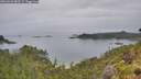./images/calvert/foggy-cove/20260626/foggy-cove20260626_083502M.jpg