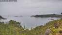 ./images/calvert/foggy-cove/20260626/foggy-cove20260626_084001M.jpg